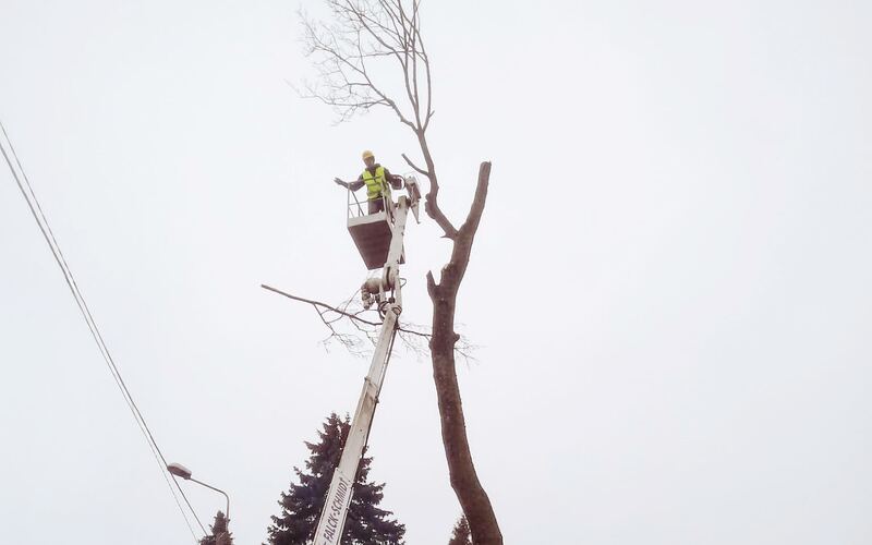Wycinka drzew podnośnikiem koszowym 14m, okolice Augustowa